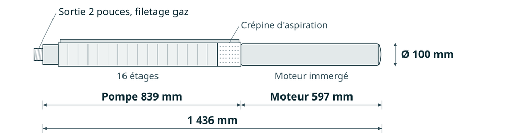 Dessin coté