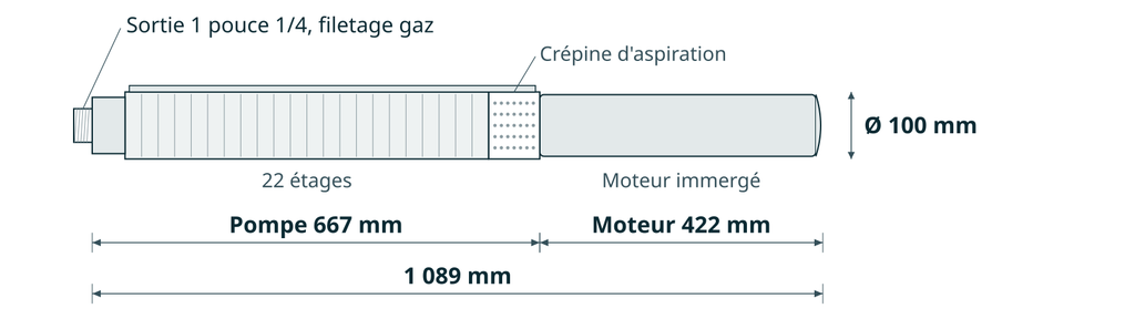 Dessin coté