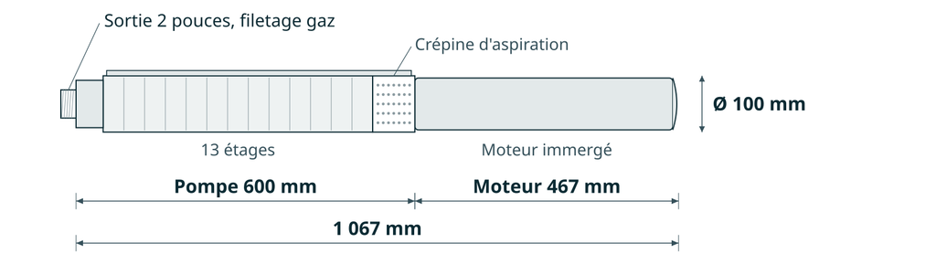 Dessin coté