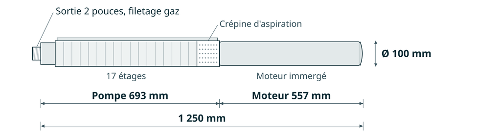 Dessin coté